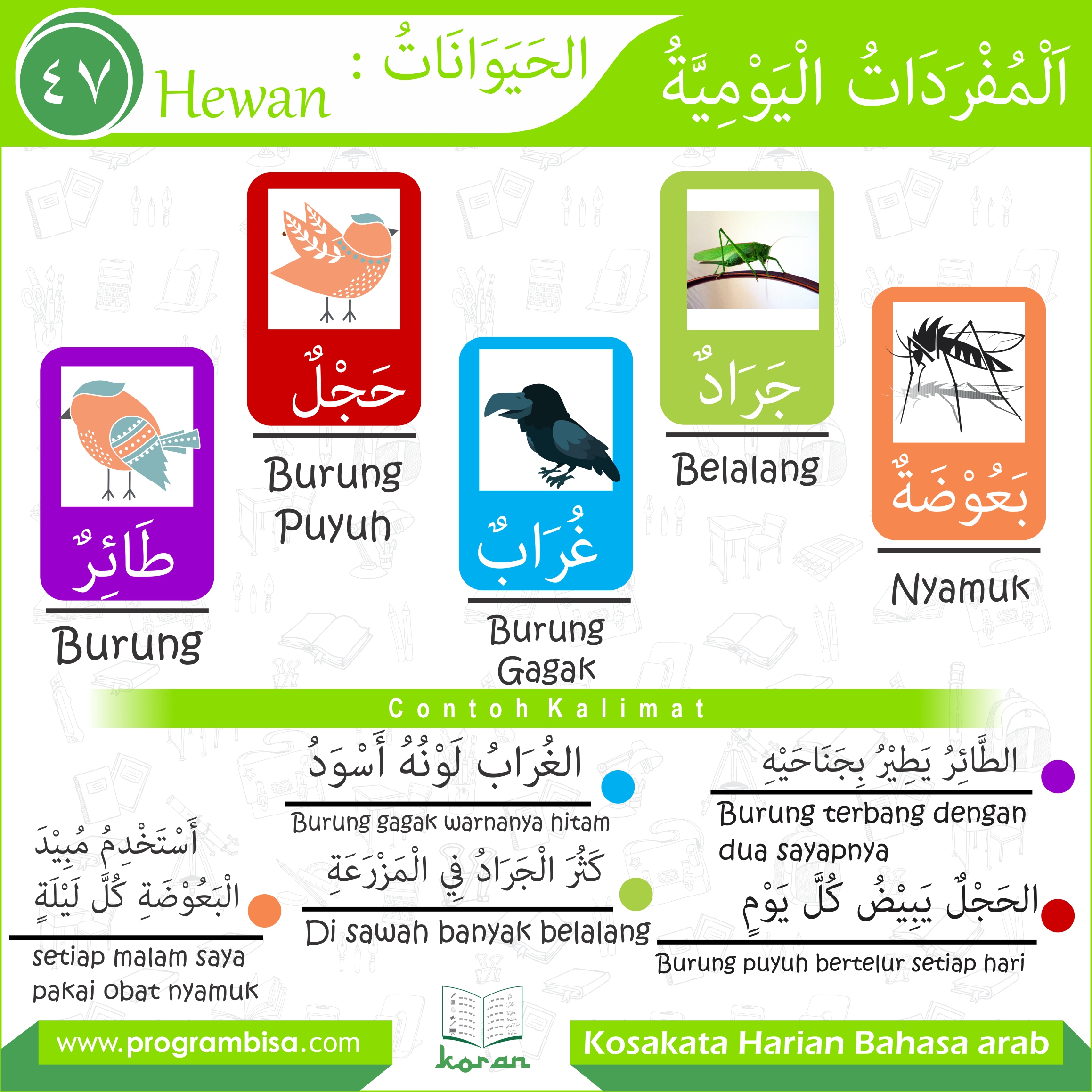 Koran hari ke 47